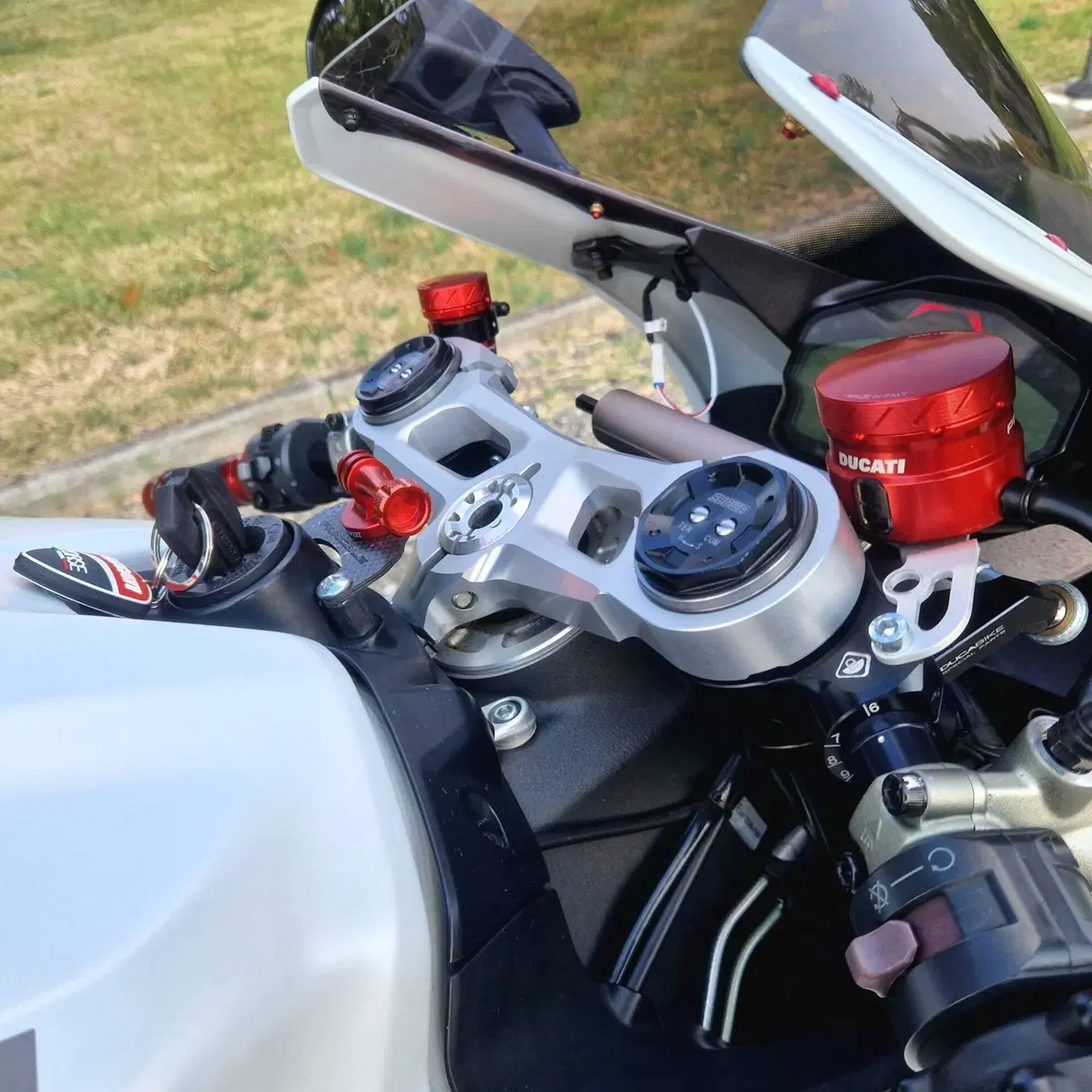 Ducati 959 Panigale (2016 - 19) (7)