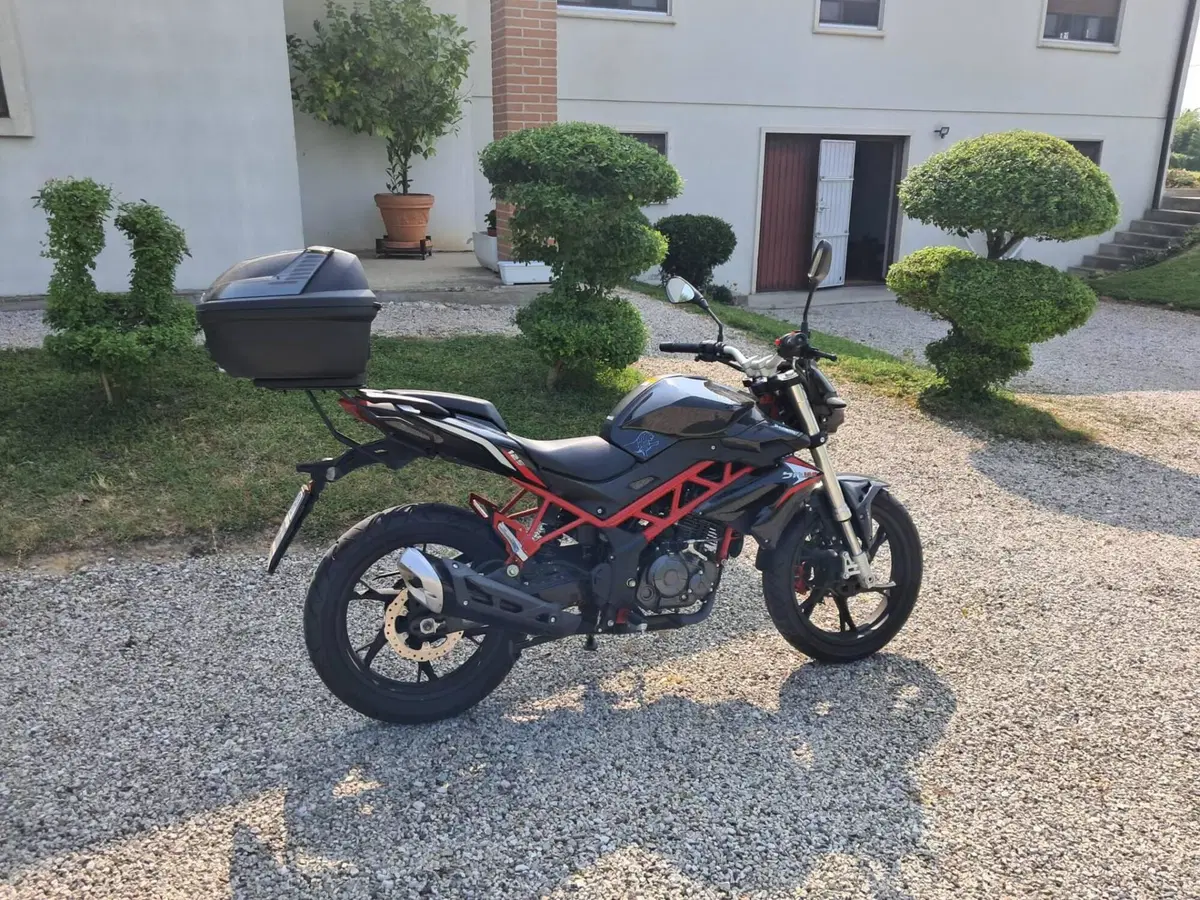 Benelli BN 125 (2018 - 20) (2)