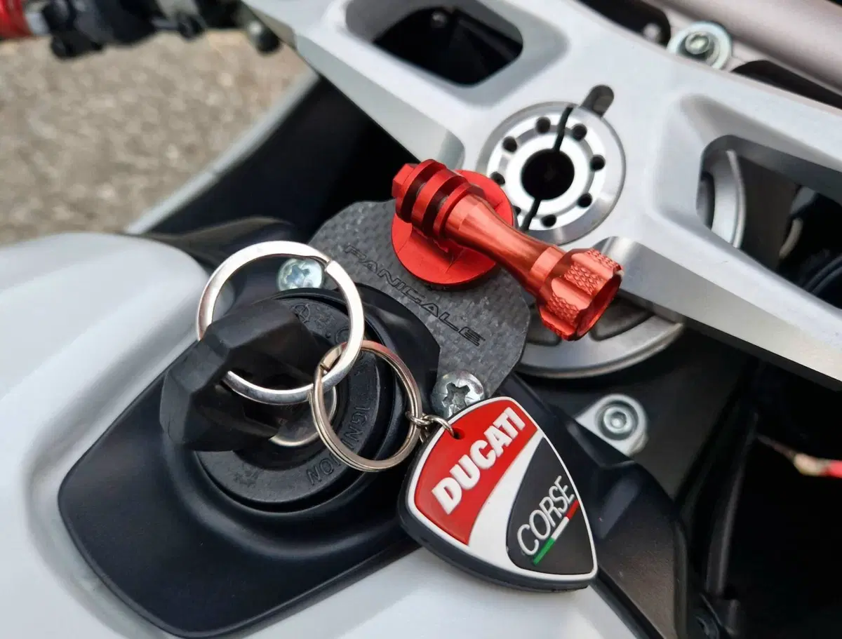 Ducati 959 Panigale (2016 - 19) (13)