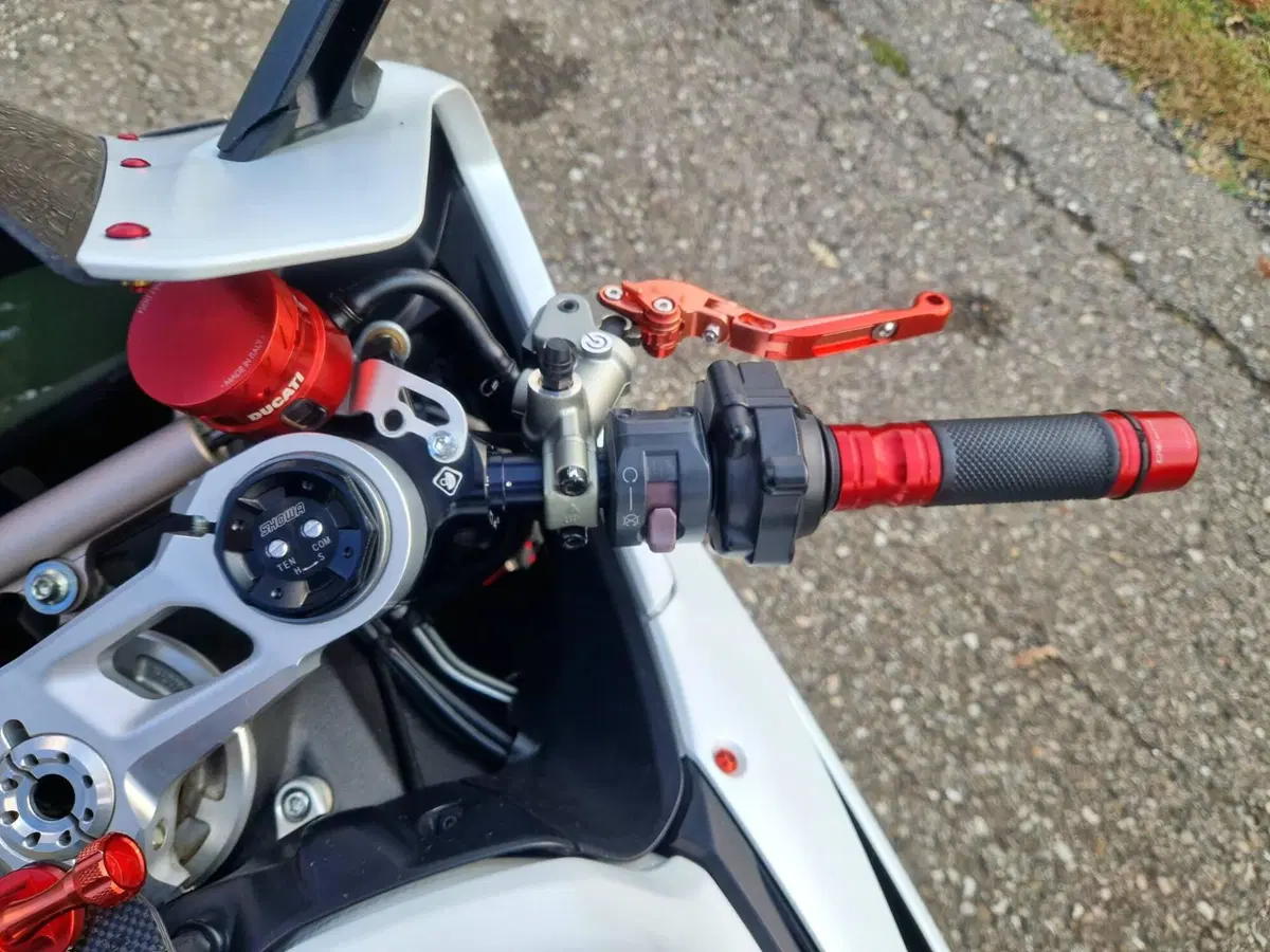 Ducati 959 Panigale (2016 - 19) (15)