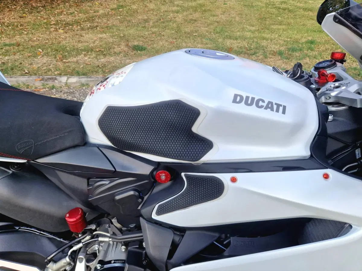 Ducati 959 Panigale (2016 - 19) (17)