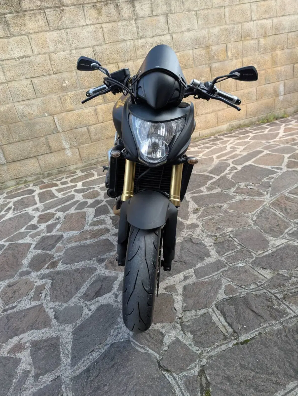 Honda Hornet 600 (2007 - 10) (3)