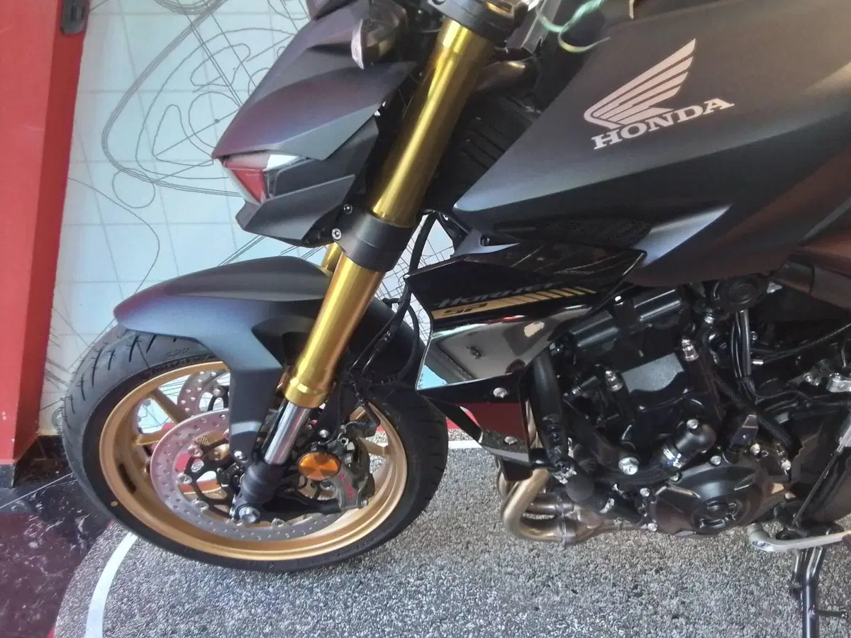 Honda CB 1000 Hornet SP (2025 - 26) (4)