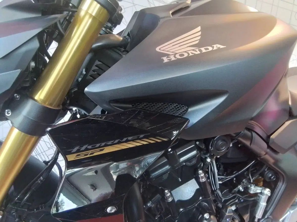 Honda CB 1000 Hornet SP (2025 - 26) (5)