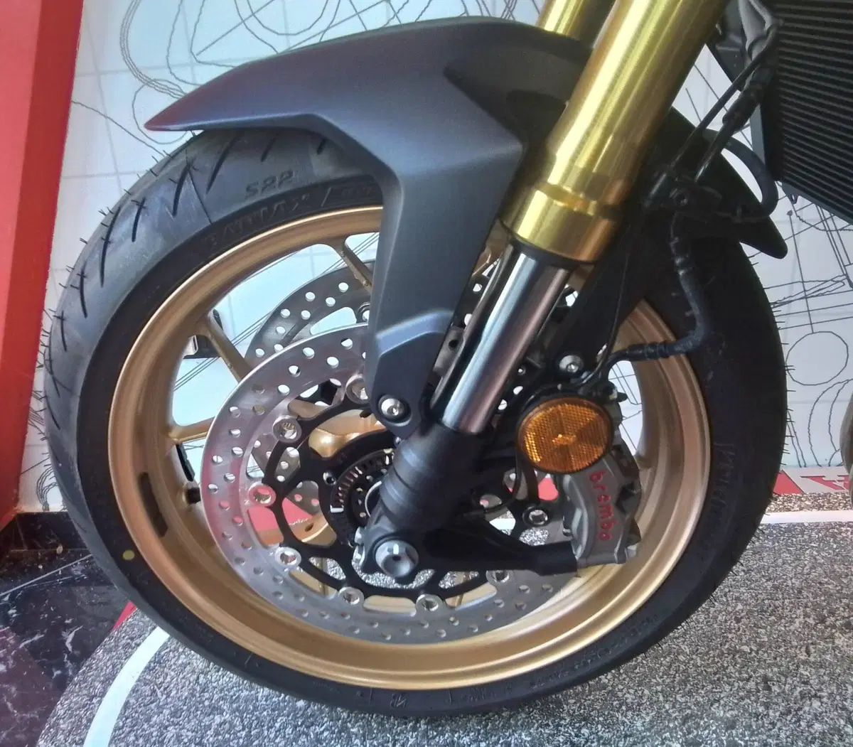 Honda CB 1000 Hornet SP (2025 - 26) (6)