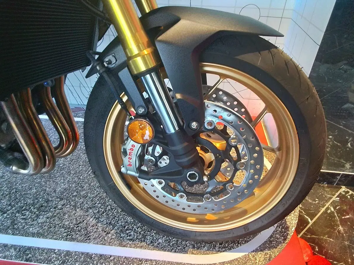 Honda CB 1000 Hornet SP (2025 - 26) (16)