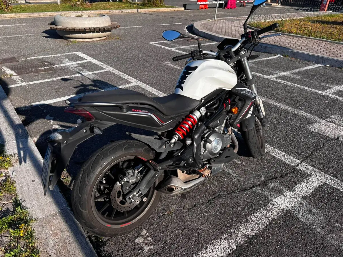 Benelli BN 302 (2017 - 19) (5)