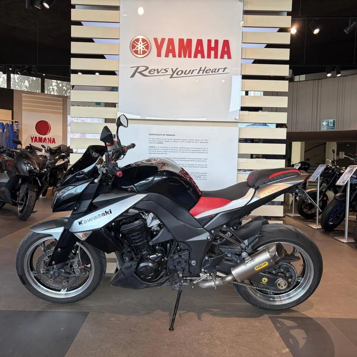 Kawasaki Z 1000 (2010 - 13) (8)
