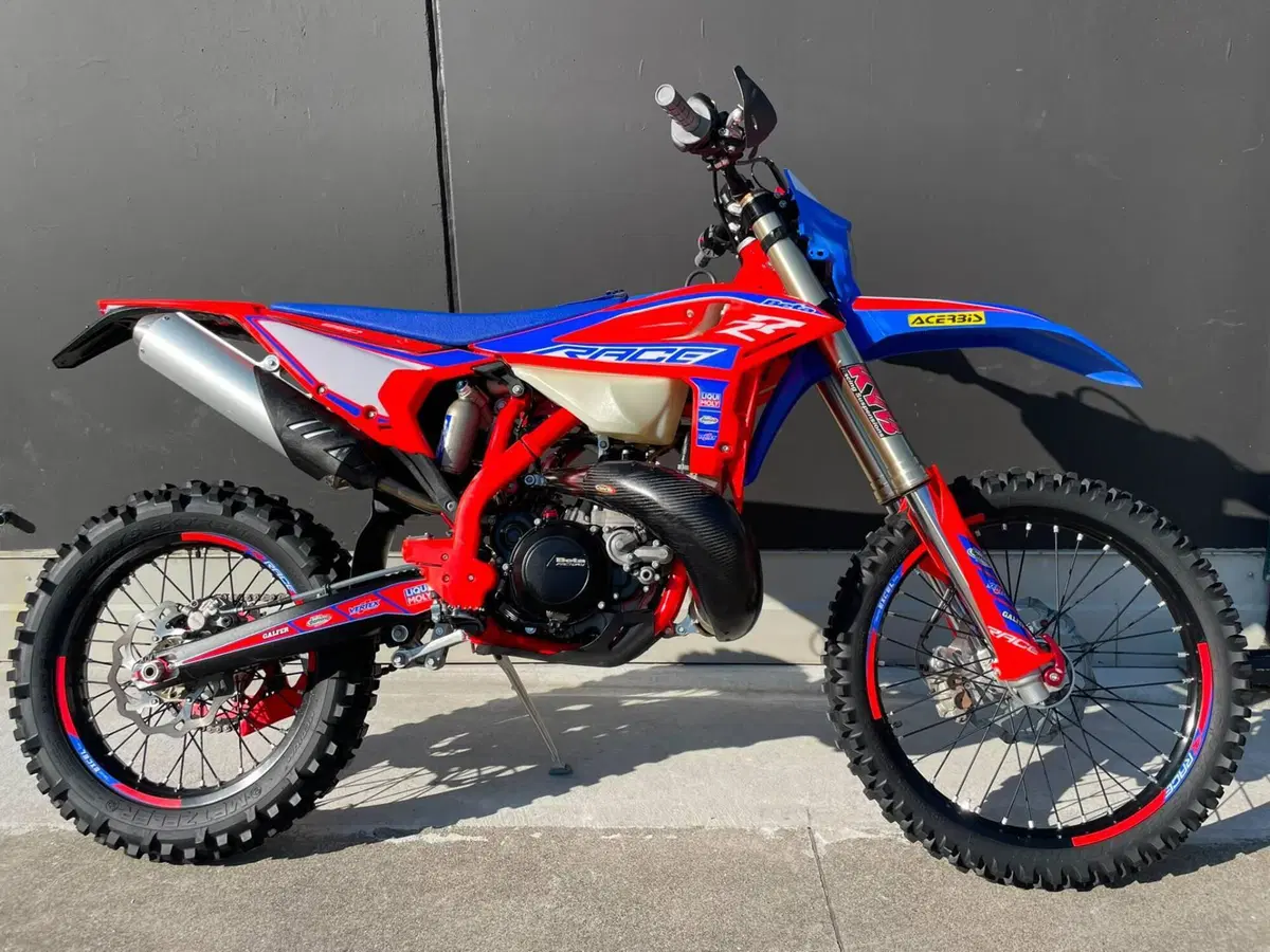 Betamotor RR 250 2T Enduro Race (2025) (2)