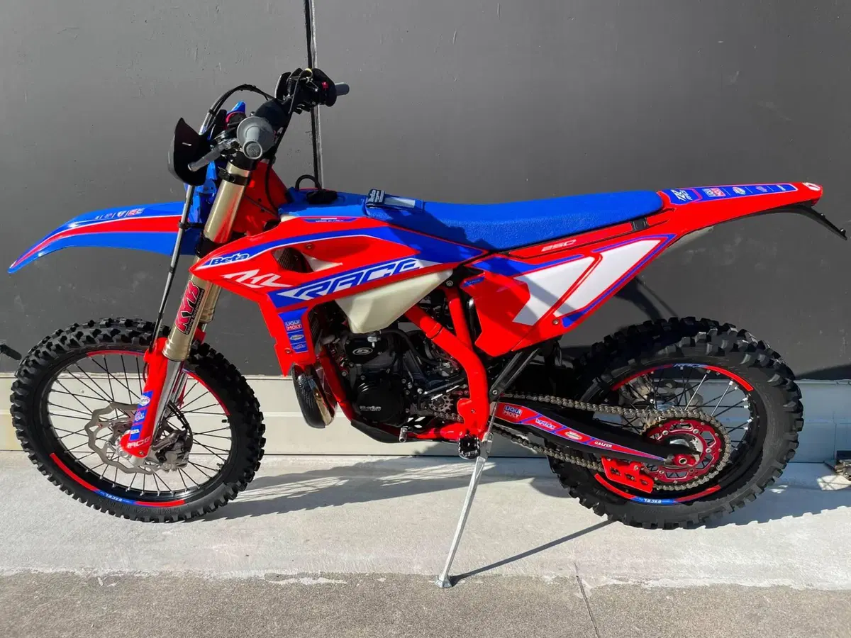 Betamotor RR 250 2T Enduro Race (2025) (3)