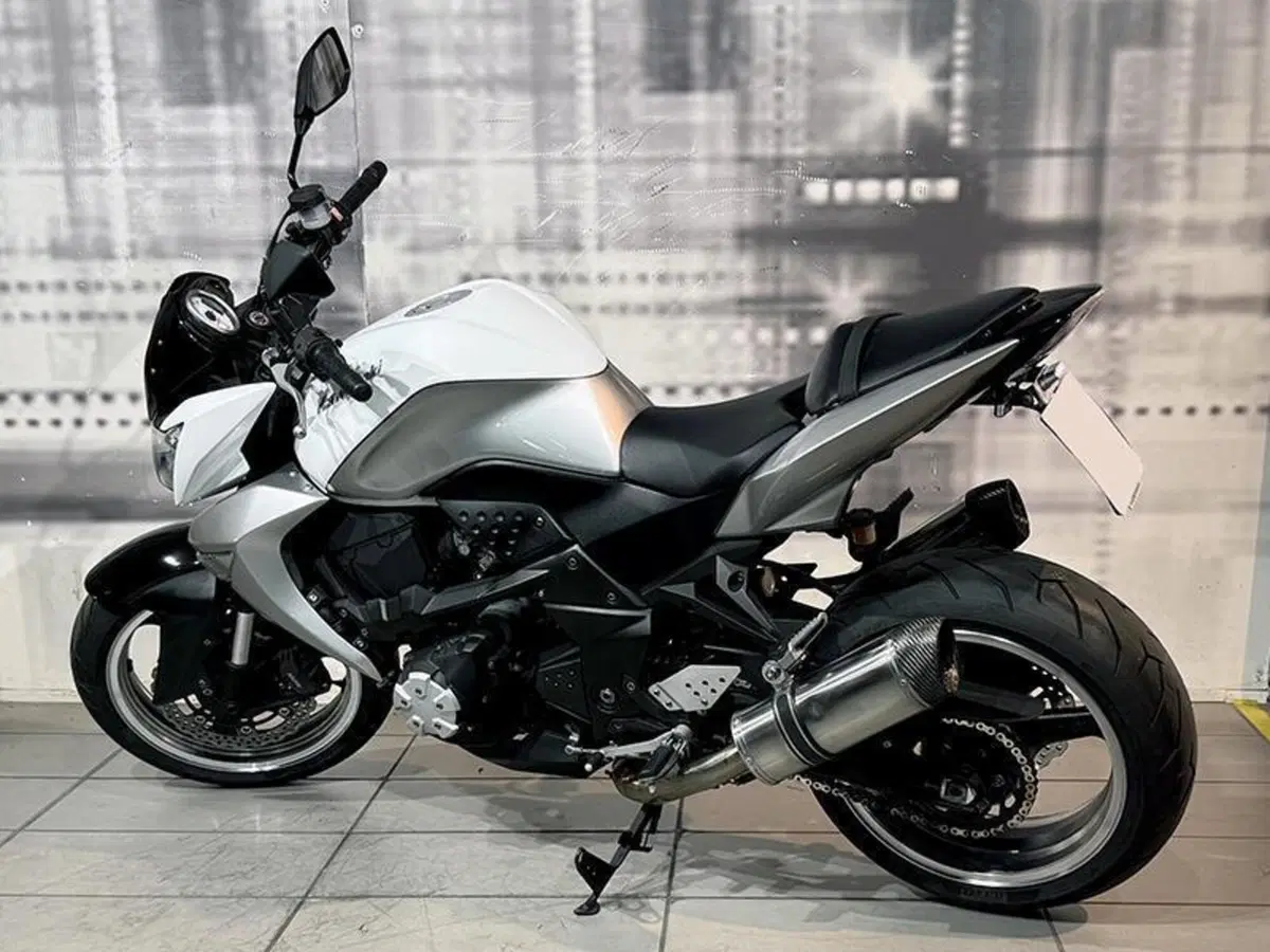 Kawasaki Z 1000 (2007 - 09) (2)