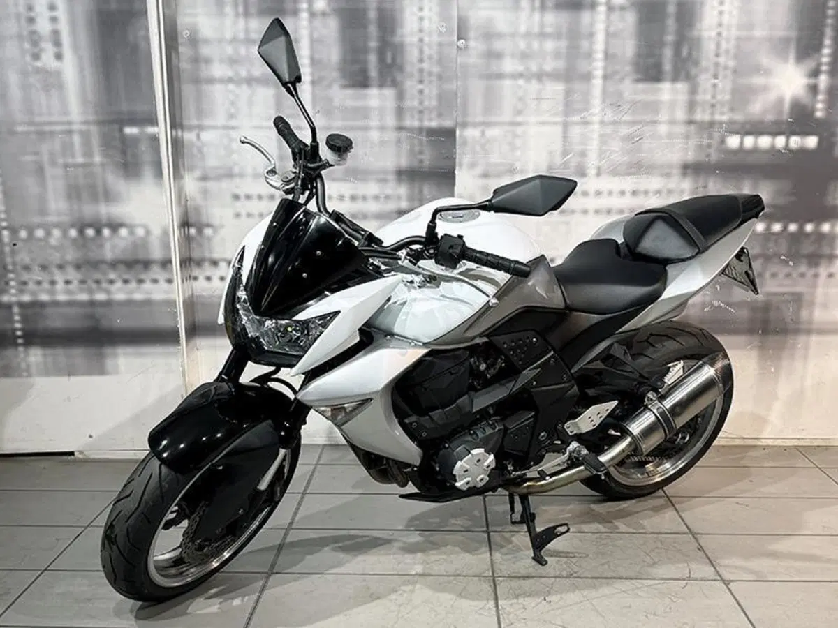 Kawasaki Z 1000 (2007 - 09) (6)