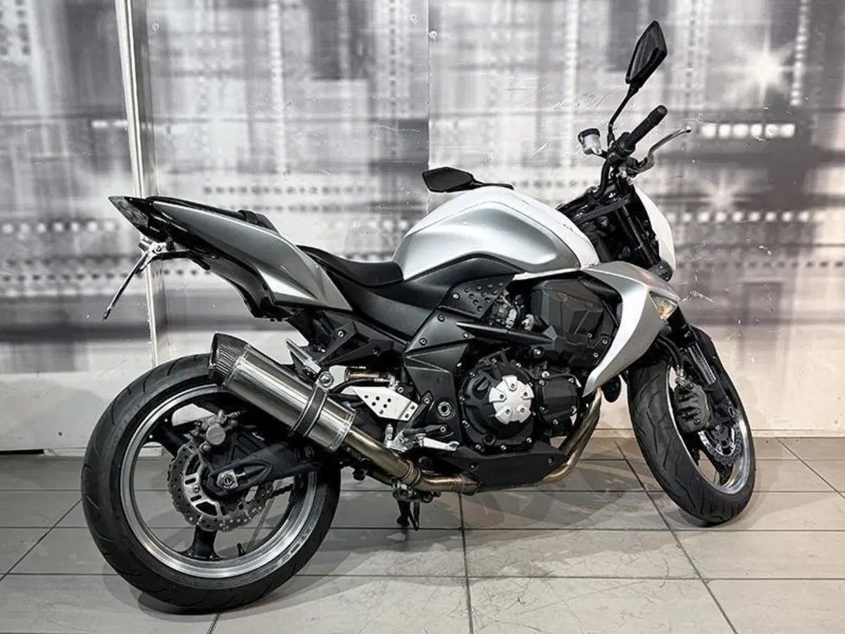 Kawasaki Z 1000 (2007 - 09) (7)