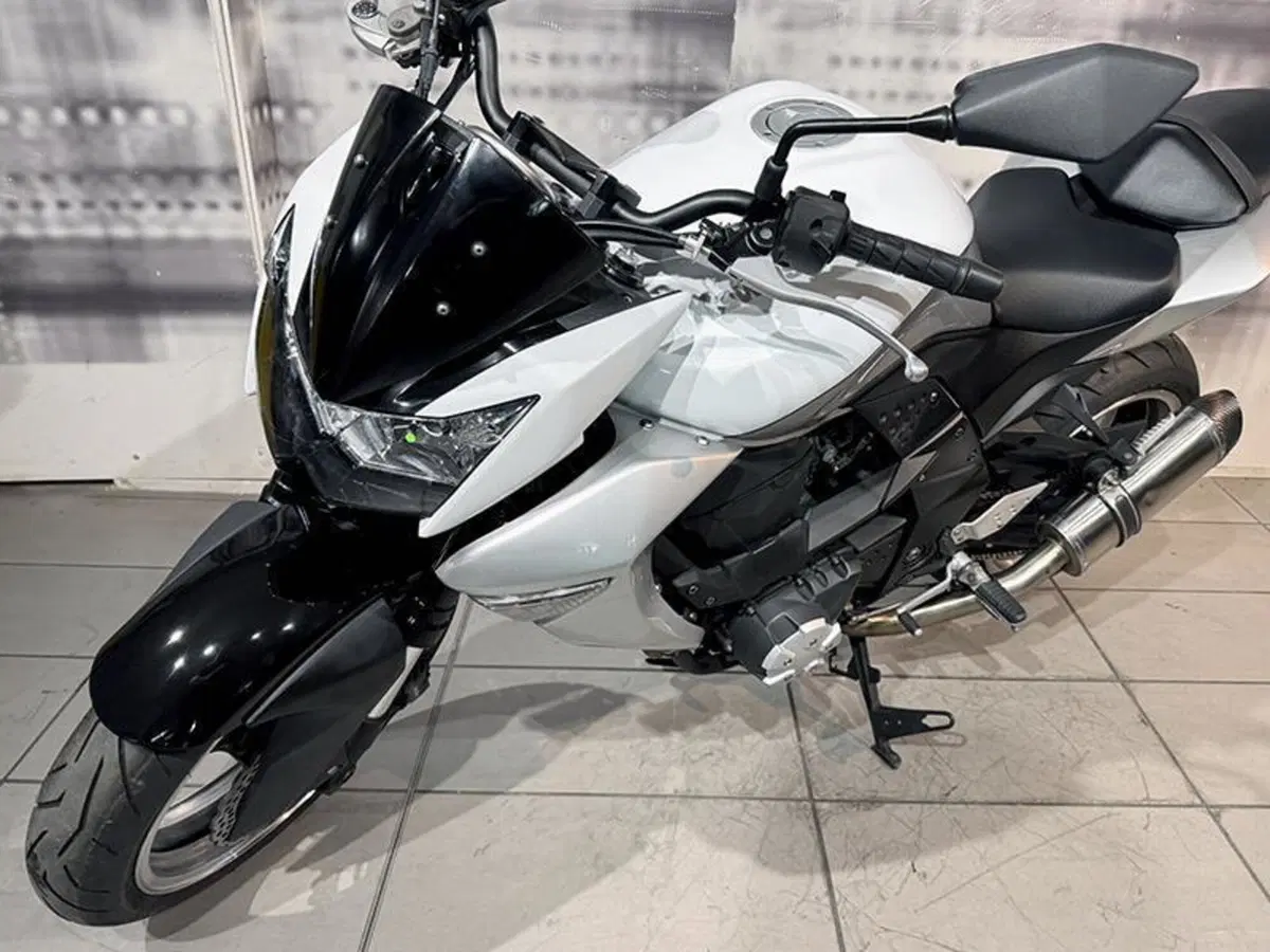 Kawasaki Z 1000 (2007 - 09) (8)