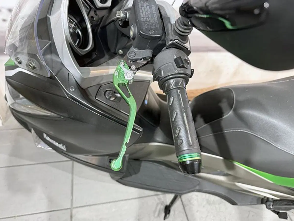 Kawasaki J 300 ABS (2014 - 16) (9)