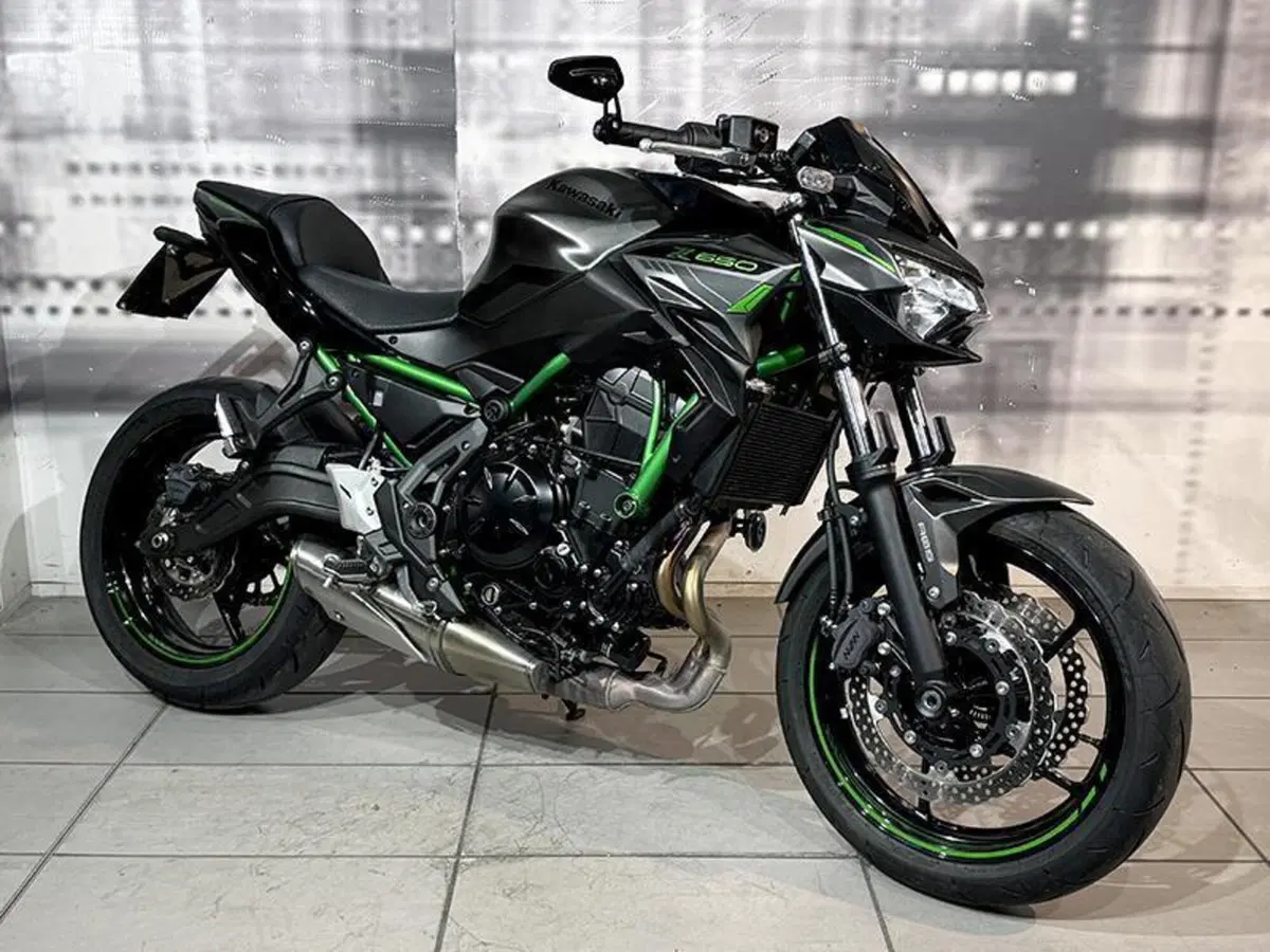Kawasaki Z 650 (2021 - 24)