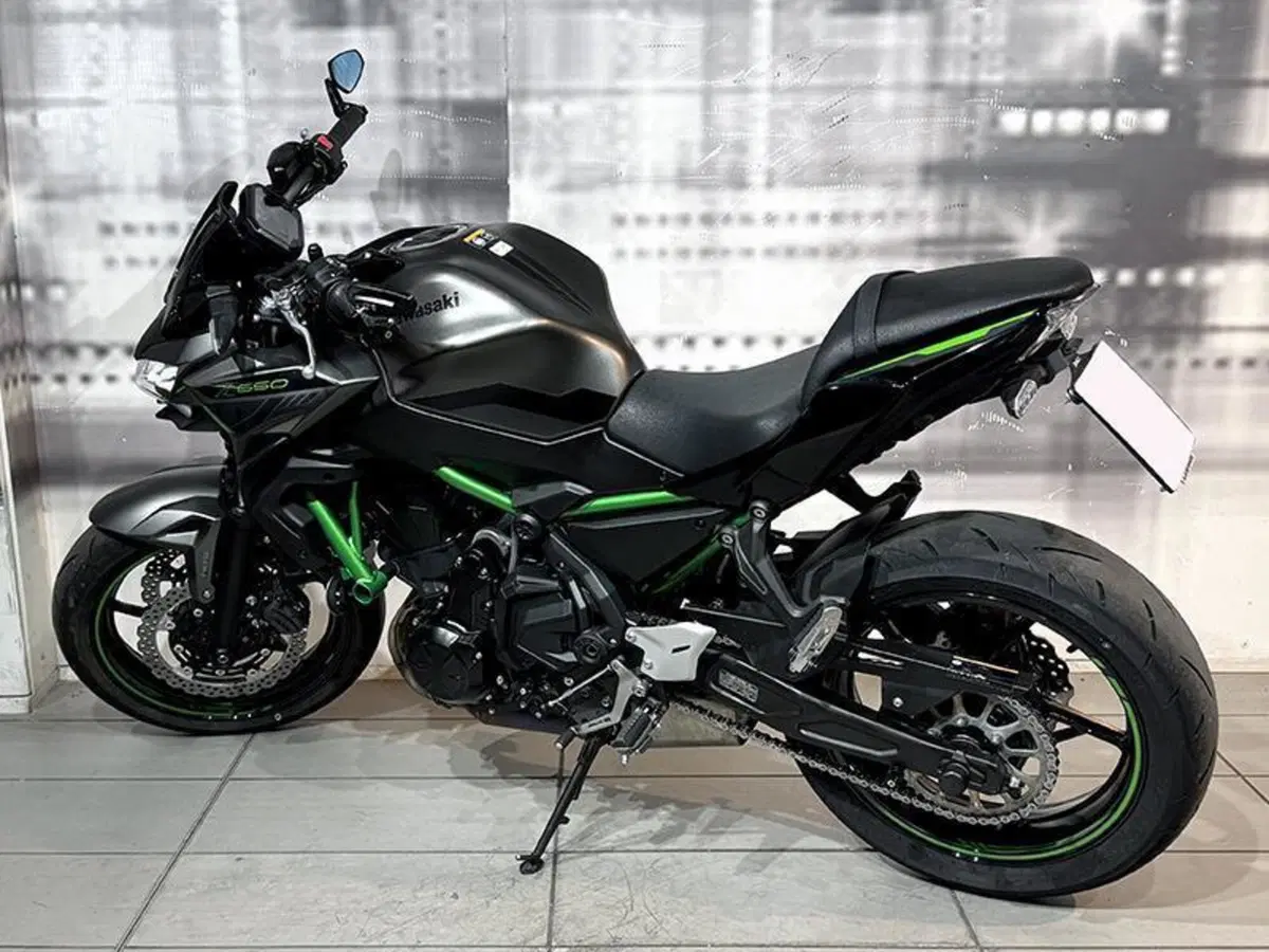 Kawasaki Z 650 (2021 - 24) (2)