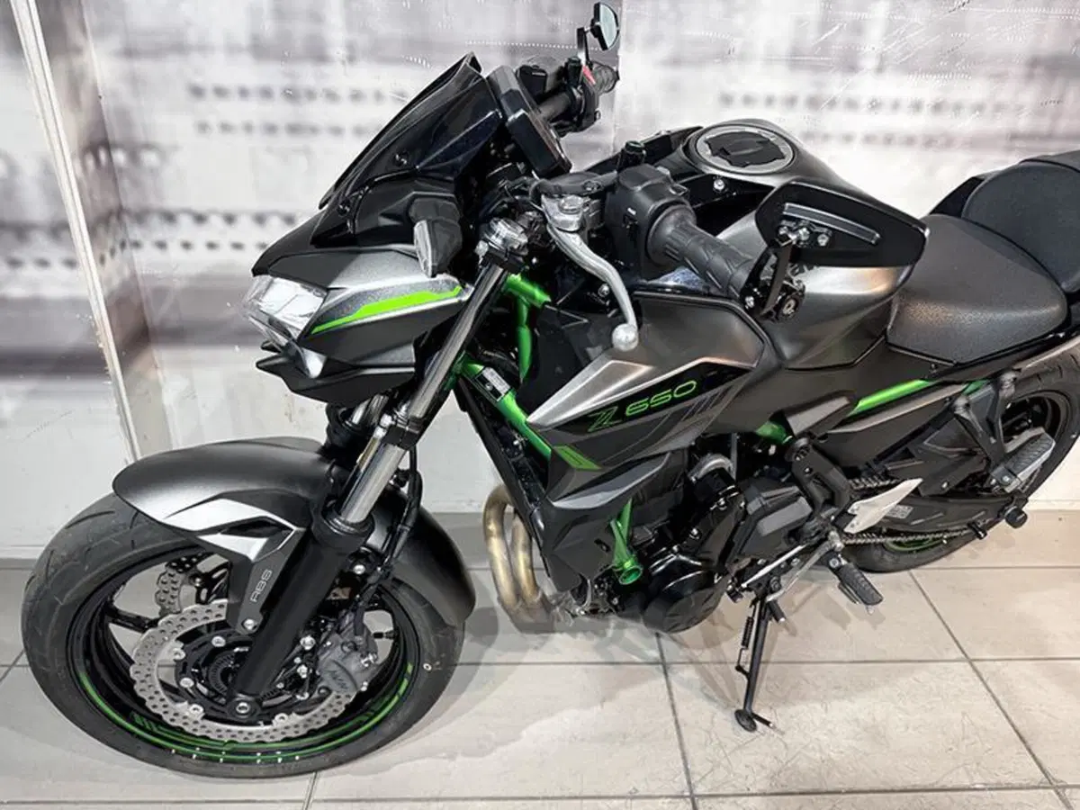 Kawasaki Z 650 (2021 - 24) (4)