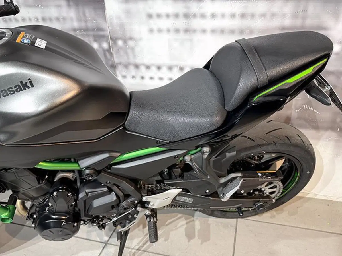 Kawasaki Z 650 (2021 - 24) (5)