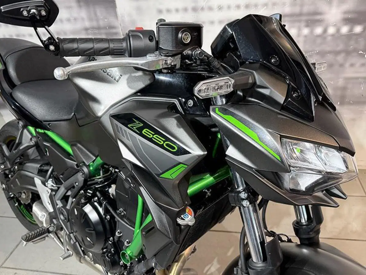 Kawasaki Z 650 (2021 - 24) (6)