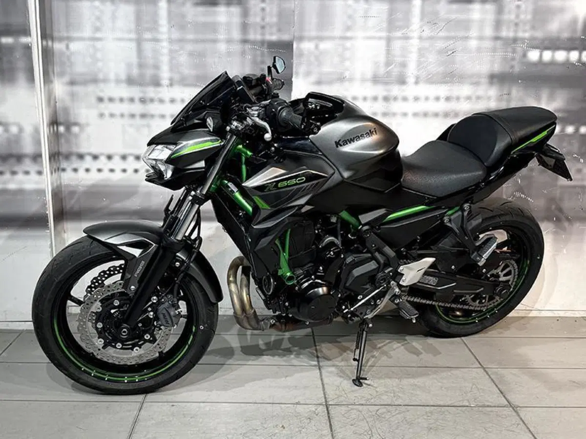 Kawasaki Z 650 (2021 - 24) (7)