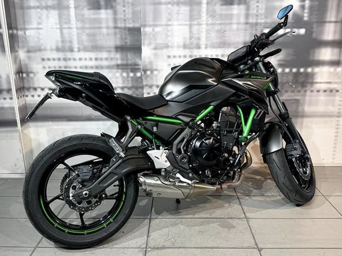 Kawasaki Z 650 (2021 - 24) (8)