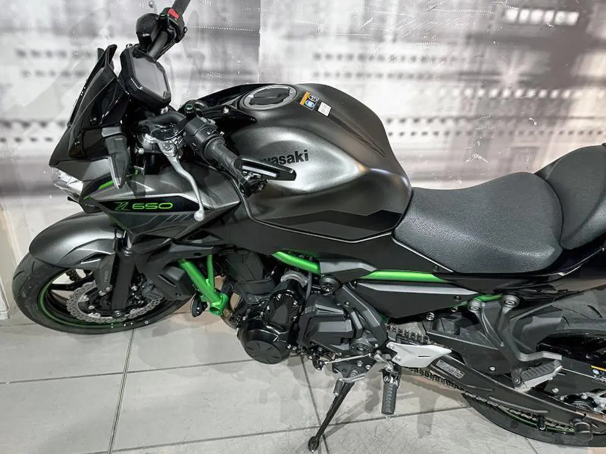 Kawasaki Z 650 (2021 - 24) (9)