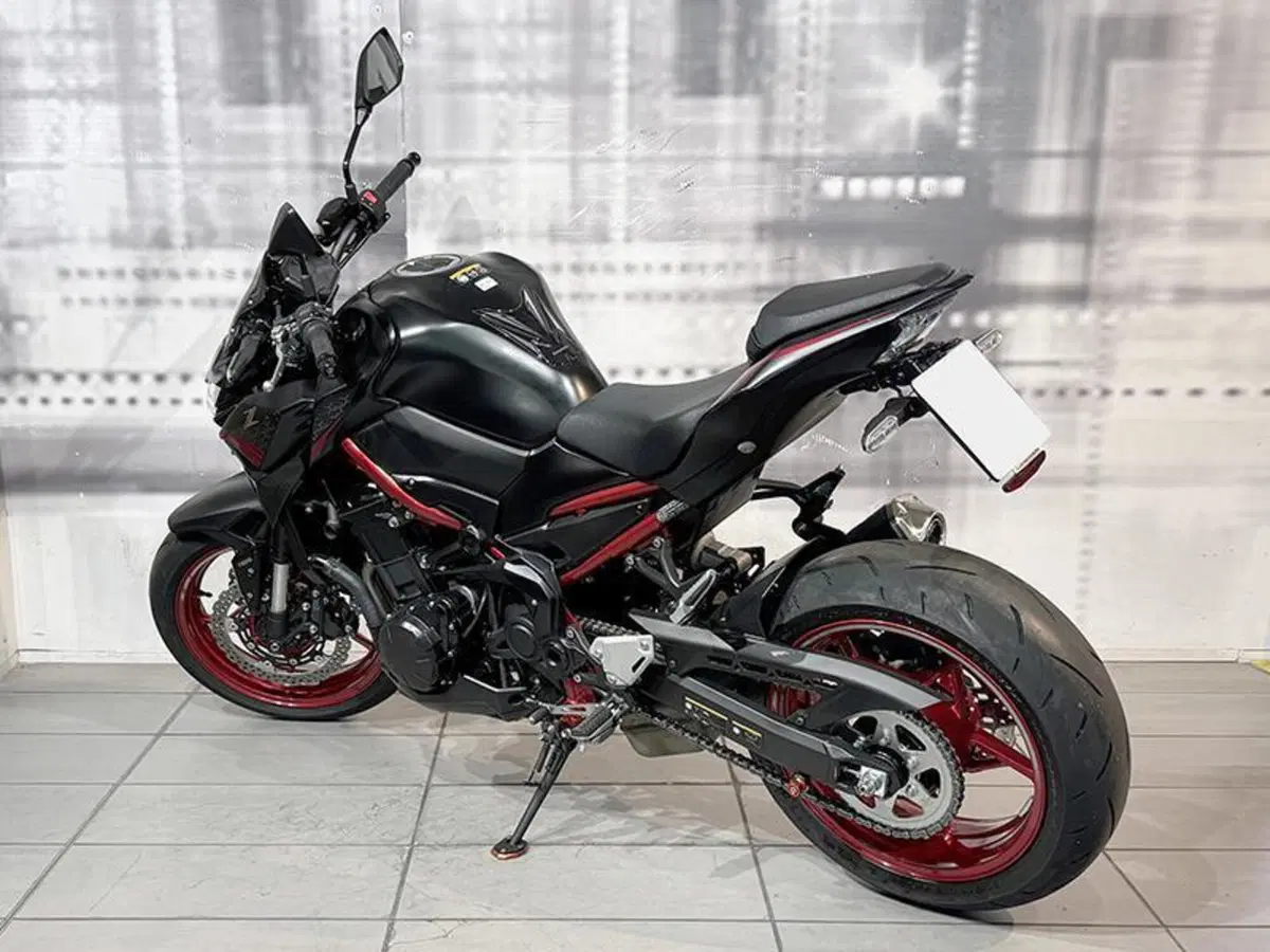 Kawasaki Z 900 A2 (2021 - 24) (2)