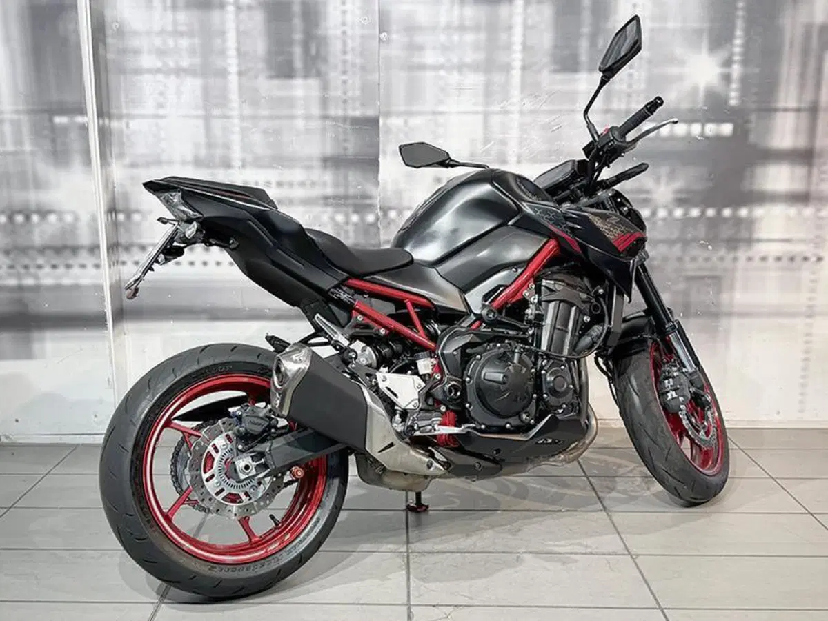 Kawasaki Z 900 A2 (2021 - 24) (7)