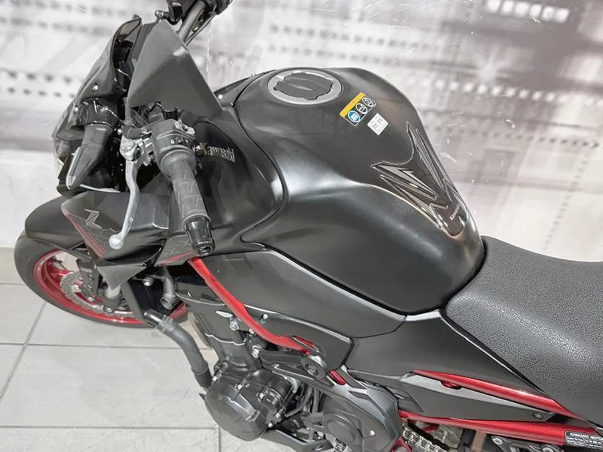 Kawasaki Z 900 A2 (2021 - 24) (8)