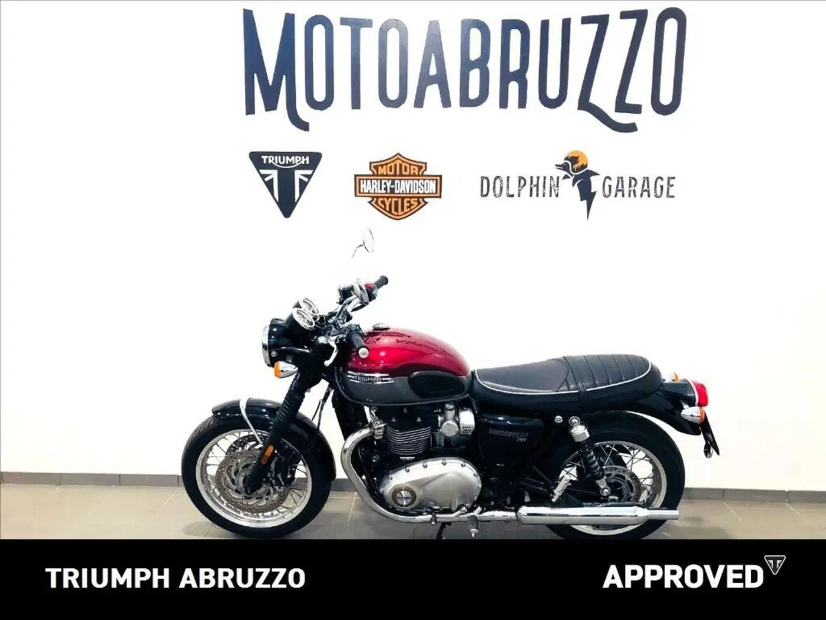 Triumph Bonneville T120 (2021 - 25) (2)