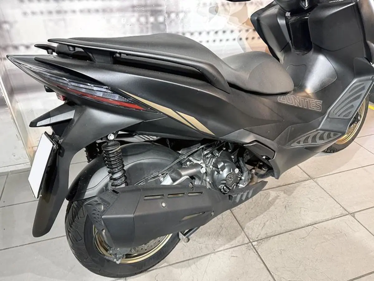 Zontes ZT350-E (2023 - 25) (5)