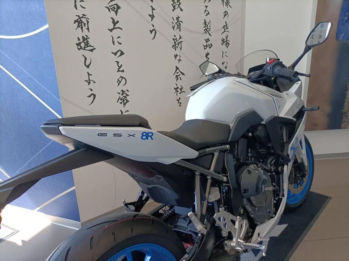 Suzuki GSX-8R (2024 - 26) (3)