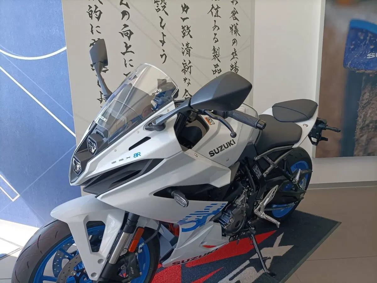 Suzuki GSX-8R (2024 - 26) (4)