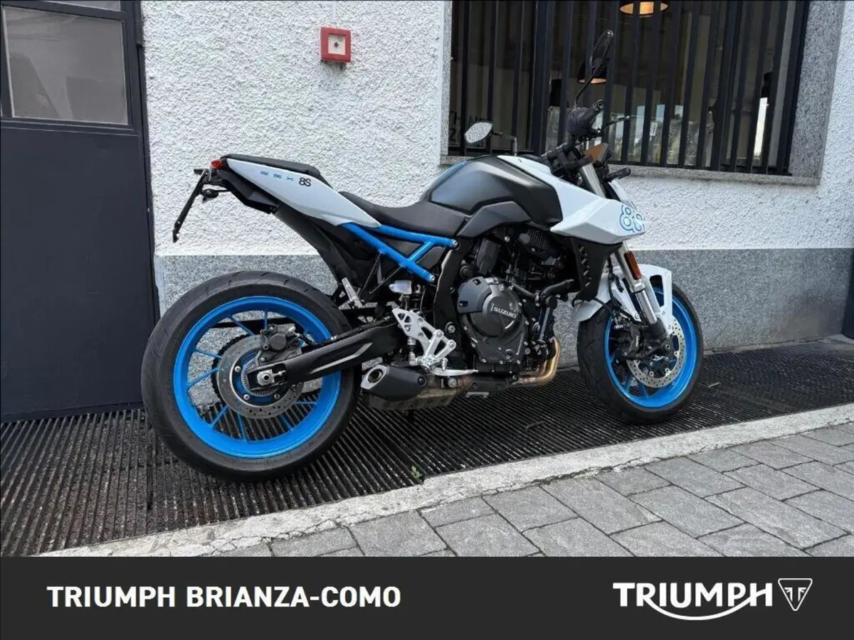 Suzuki GSX-8S (2023 - 24) (3)