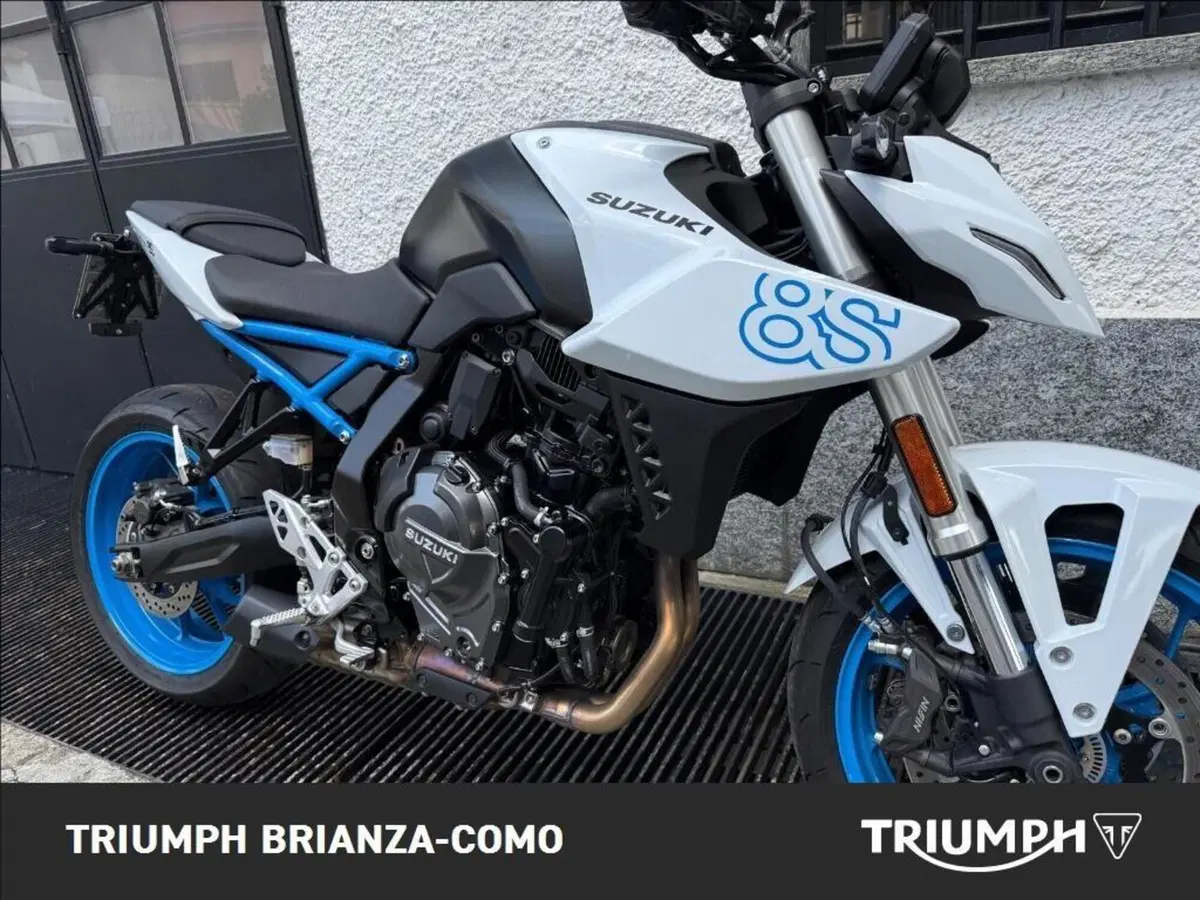 Suzuki GSX-8S (2023 - 24) (4)