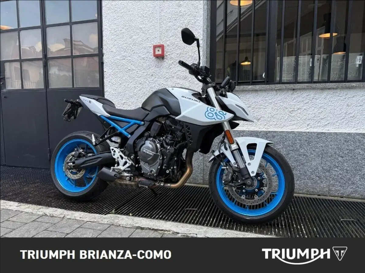 Suzuki GSX-8S (2023 - 24) (2)