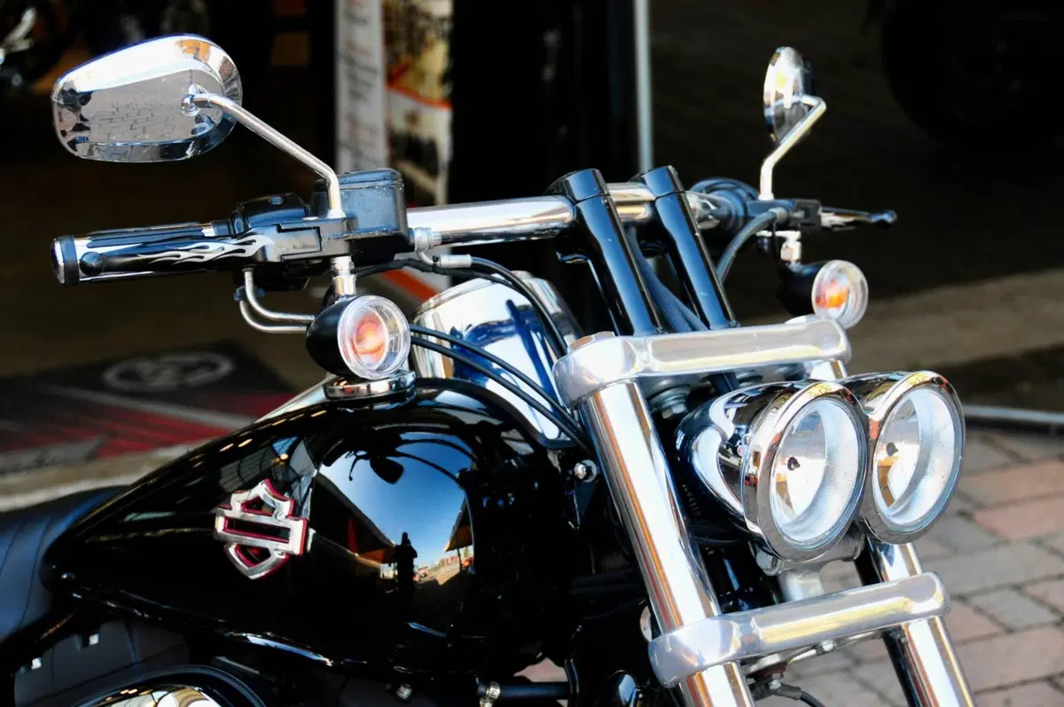 Harley-Davidson 1584 Fat Bob (2007 - 13) - FXDF (6)