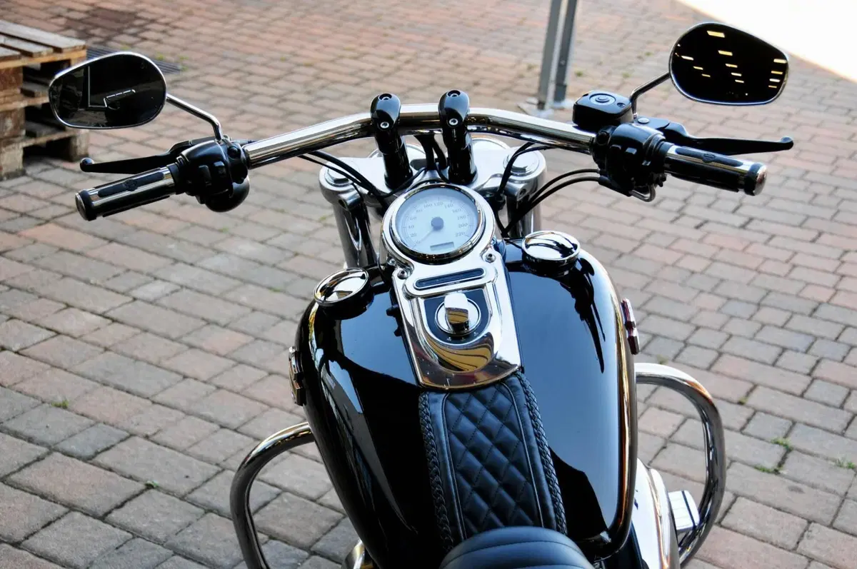Harley-Davidson 1584 Fat Bob (2007 - 13) - FXDF (12)