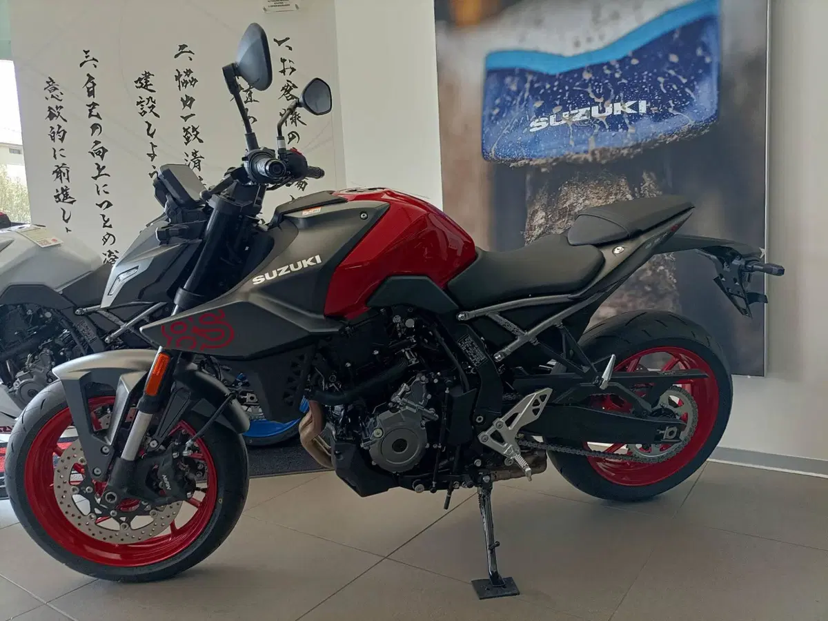 Suzuki GSX-8S (2025 - 26) (2)