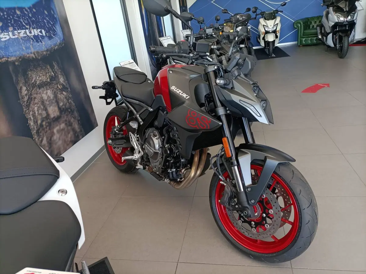 Suzuki GSX-8S (2025 - 26) (3)