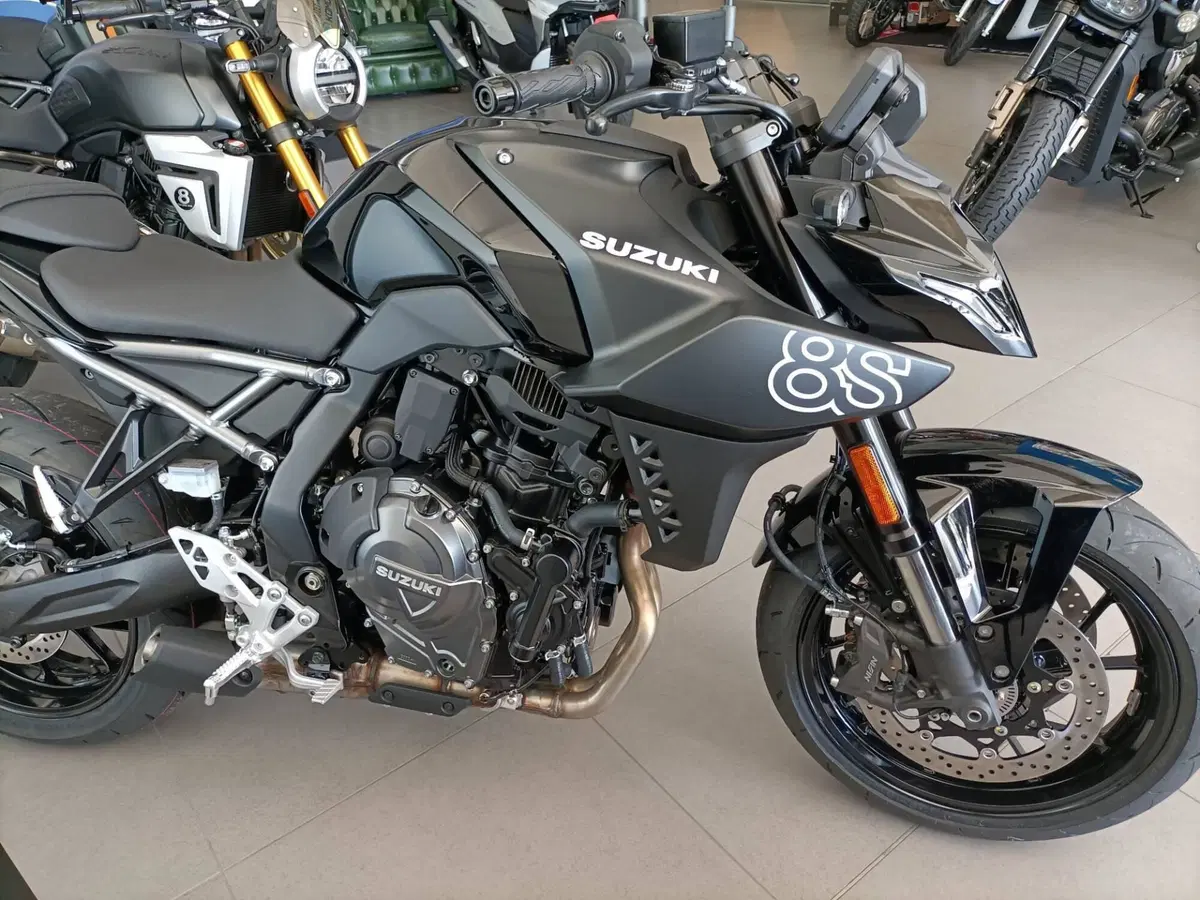 Suzuki GSX-8S (2025 - 26) (5)