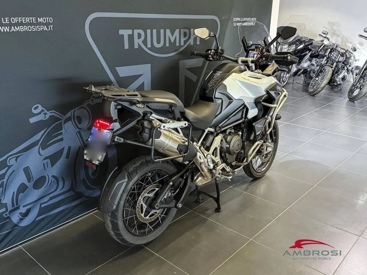 Triumph Tiger 1200 Rally Explorer (2022 - 23) (2)