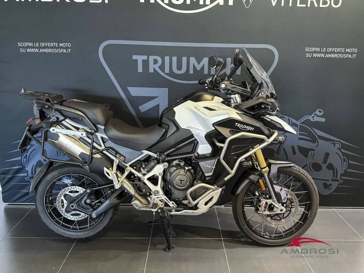 Triumph Tiger 1200 Rally Explorer (2022 - 23) (3)