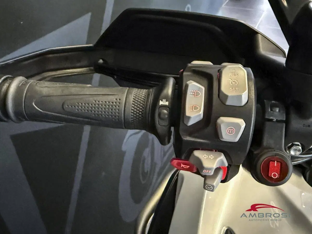 Triumph Tiger 1200 Rally Explorer (2022 - 23) (5)