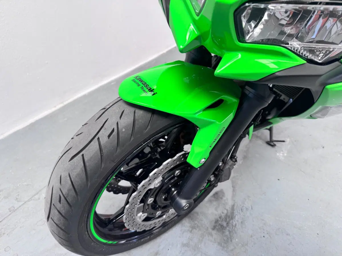 Kawasaki Ninja 650 (2025 - 26) (3)