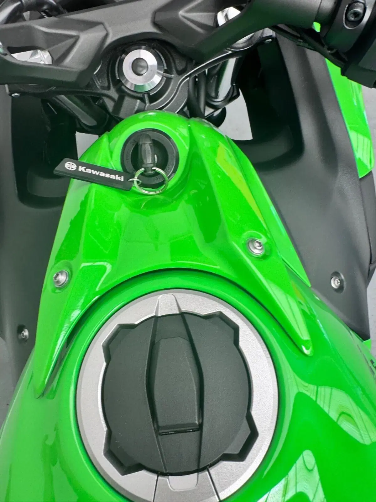 Kawasaki Ninja 650 (2025 - 26) (6)