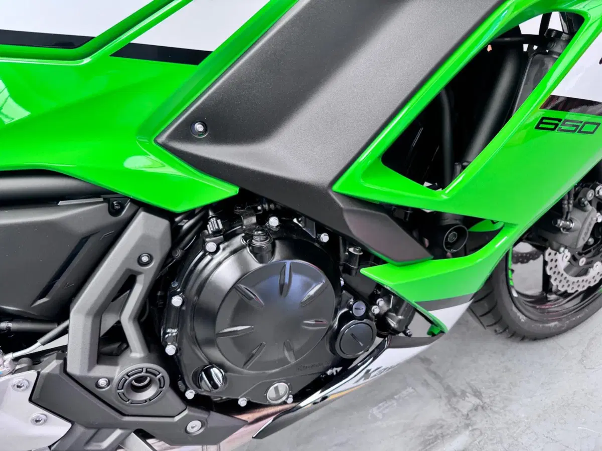 Kawasaki Ninja 650 (2025 - 26) (7)