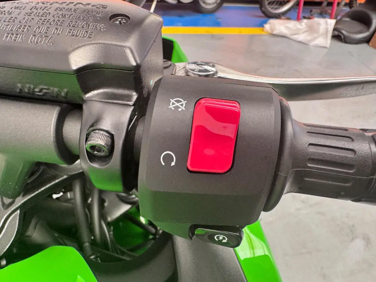 Kawasaki Ninja 650 (2025 - 26) (10)
