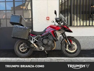 Triumph Tiger 900 GT Pro (2024 - 26) usata